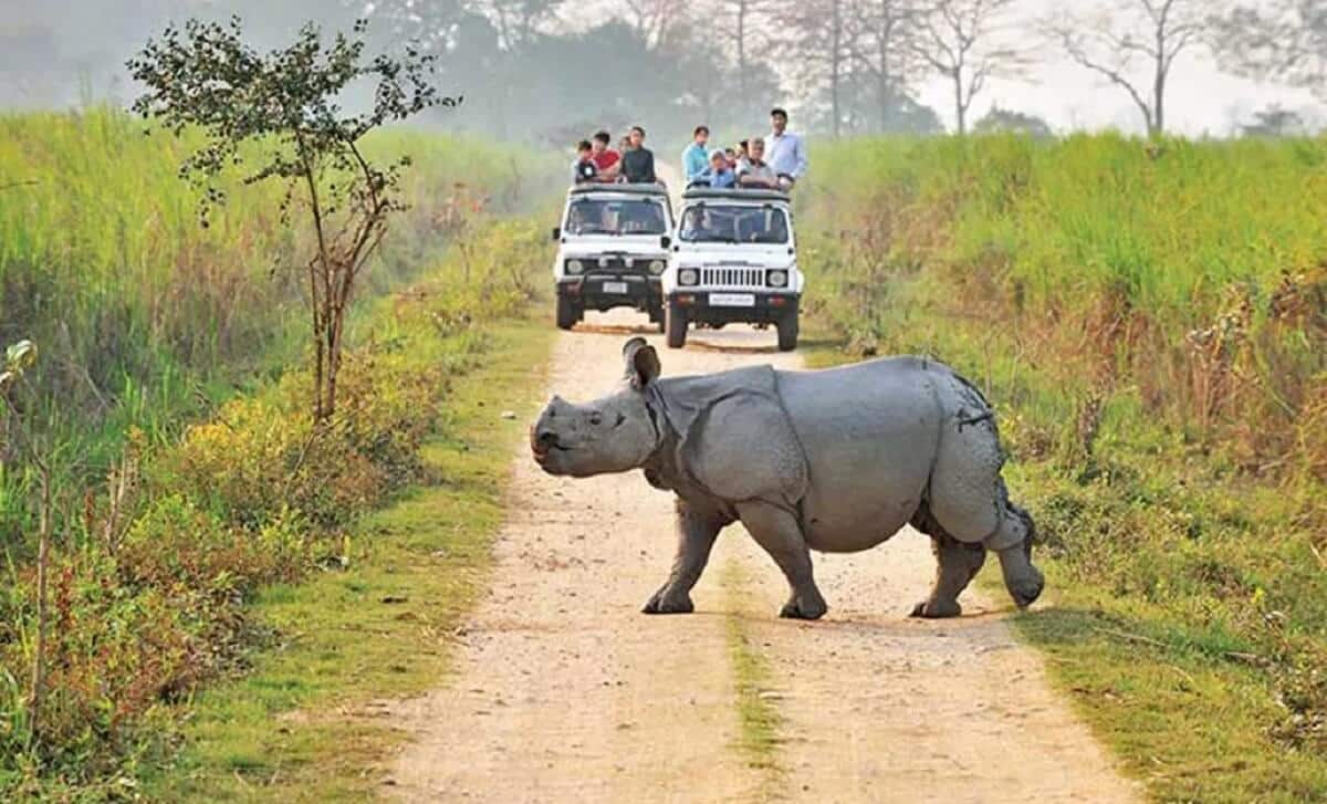 National Parks of Assam Tour Package