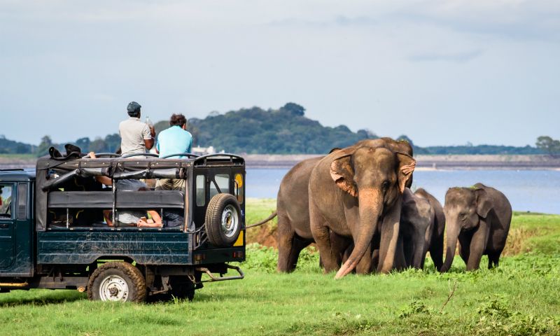 Sri Lanka Nature and Wildlife Adventure Tour Package